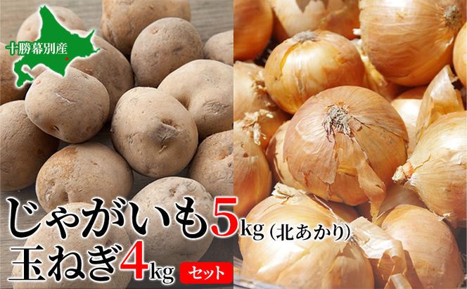 【先行予約】じゃがいも5kg・玉ねぎ4kgセット（北あかり）【十勝幕別 北海道ホープランド農場】 野菜 玉ねぎ セット 詰合せ 