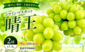 ぶどう 2026年 先行予約 シャインマスカット 晴王 2房 約1.4kg 9月～10月発送 岡山県産 種無し 皮ごと食べる みずみずしい 甘い 瀬戸内 晴れの国 おかやま 果物大国 満天フルーツ