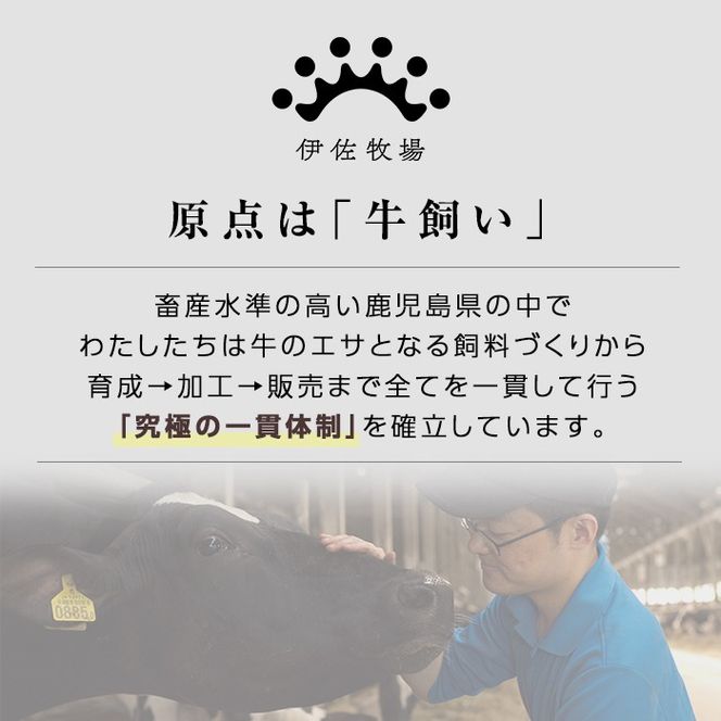 isa692 鹿児島県(カミチクファーム 大口農場)産 黒毛和牛切り落とし(計800g・200g×4パック) 黒毛和牛 切り落とし 和牛 国産牛 高級肉 A5 ランク 霜降り 赤身 牛肉 薄切り スライス 多用途 日常使い ごちそう 人気 おすすめ 高タンパク 【お肉の直売所 伊佐店】