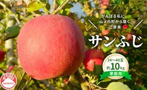 【2026年12月発送】今日を癒すひと玉 私のサンふじ サンふじ 家庭用 10kg りんご 果物