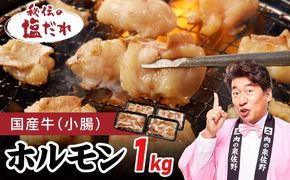 099H4758 国産 牛肉 ホルモン 1kg 塩だれ漬け 焼肉用 小分け 250g×4P【牛肉 焼肉用 焼くだけ 小分け BBQ やきにく 数量限定】