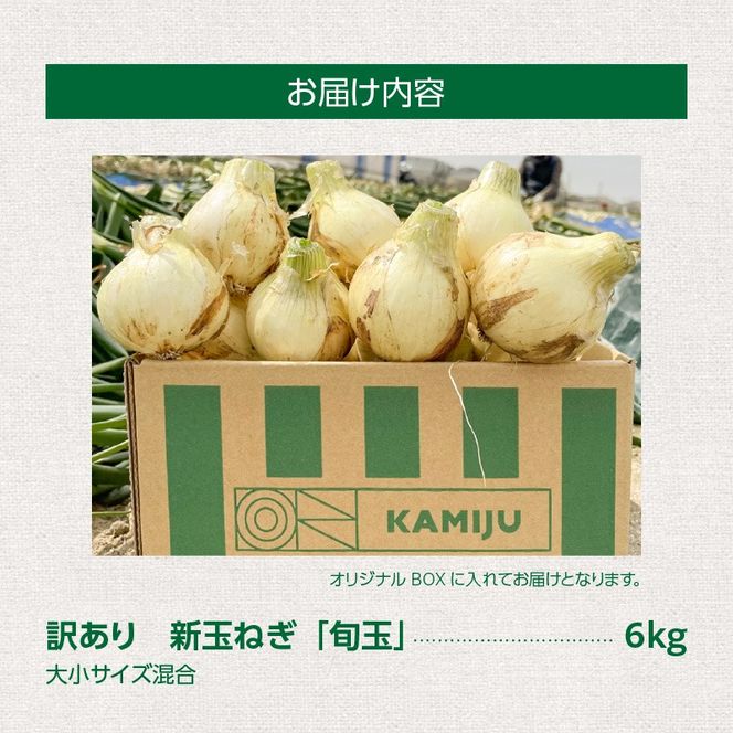【福箱★2027】 訳あり 新玉ねぎ 旬玉 6kg 生がおいしい神重農産のブランド玉ねぎ H105-274