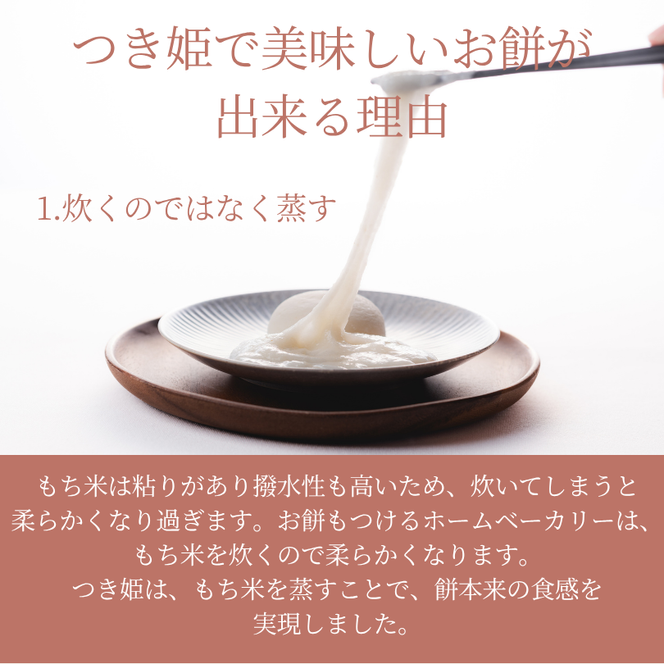 みのる産業 3合餅つき機 つき姫 リッチホワイト 餅つき機 ホワイト
