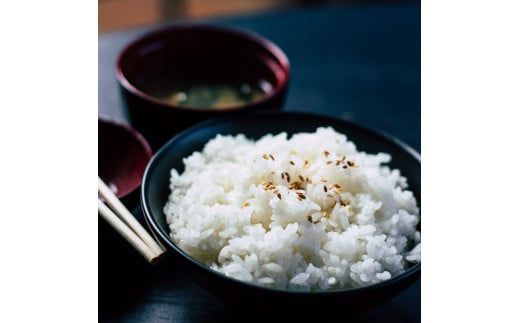 【CF-R7hbk】先行予約 令和7年産 無洗米コシヒカリ5キロ 5kg 米 白米 精米 新米 むせんまい こしひかり コシヒカリ ブランド米 おこめ こめ 飯 ご飯 ごはん おにぎり おいしい 常温 人気 ギフト