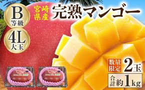 【2027年発送】【数量限定】宮崎県産 完熟マンゴー B等級 4Lサイズ×2玉（合計約1kg）_kn056-014