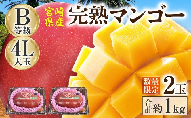 【2027年発送】【数量限定】宮崎県産 完熟マンゴー B等級 4Lサイズ×2玉（合計約1kg）_kn056-014
