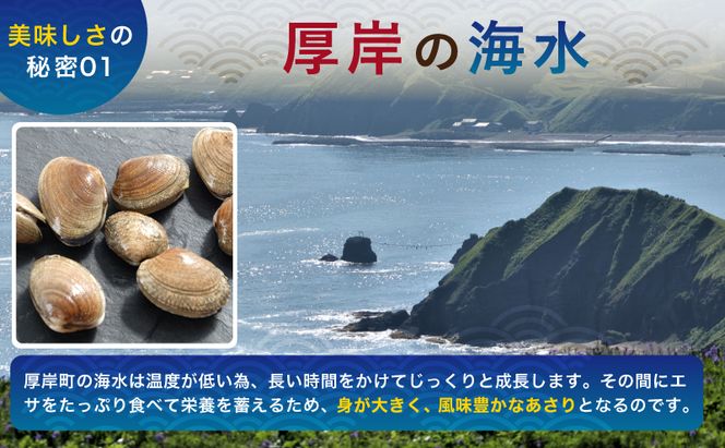 あさり 簡単 お手軽 北海道 厚岸産 天然 ブランチング加工 3D 冷凍 大あさり 500g ×3パック 貝 海鮮 魚介類