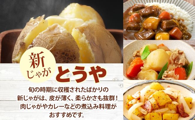 北海道 洞爺湖町産 新じゃがいも とうや 約10kg  Mサイズ以上混載 2026年10月初旬より順次出荷 北海道産 新じゃが じゃがいも ジャガイモ 馬鈴薯 旬 野菜 農作物 送料無料 産地直送 常温 洞爺湖町 