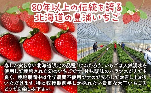 【2026年4月以降順次出荷】豊浦いちご 大玉12粒×2トレー 【 ふるさと納税 人気 おすすめ ランキング 果物 いちごイチゴ 苺 大玉 大粒 けんたろう おいしい 美味しい 農園直送 採れたて 新鮮 産直 苺 ストロベリー 北海道 豊浦町 送料無料 】 TYUAH001