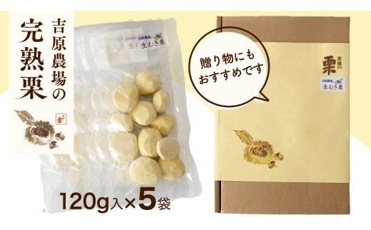 【 吉原農場 の 完熟栗 】 熟成 生むき栗 5袋 ( 120g × 5袋 ) 令和7年産 完熟 栗 くり クリ 栗ごはん 贈答 ギフト 果物 フルーツ 数量限定 旬  秋 冬 正月 おせち [CX003ci]