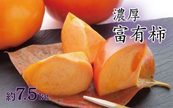 【秋の美味】【和歌山ブランド】濃厚！富有柿　秀品　L～３Ｌサイズ　約7.5kg入り【ard014E】