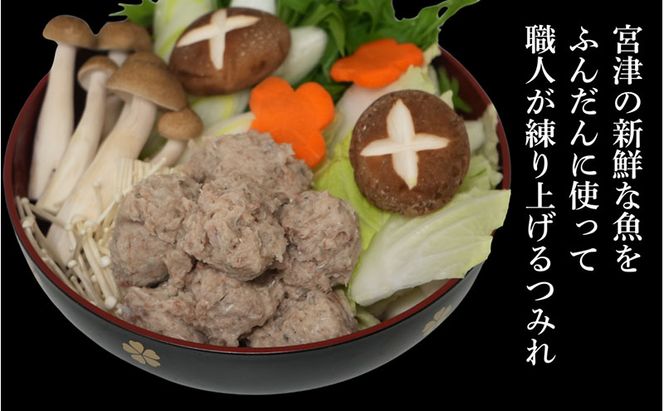 橋立やまいち自慢の魚のつみれ 2パックセット（冷凍）600g つみれ 魚 鍋 京都府 宮津市 myz02 myz11 myz17