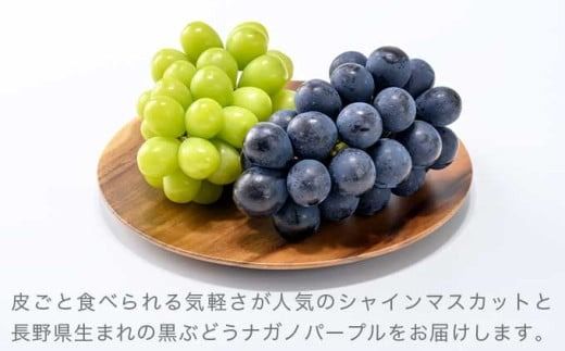 皮ごと食べられる長野県産ぶどう２種詰め合わせ シャインマスカット ＆ ナガノパープル 約1kg 各1房 ［おぶせファーマーズ］ 果物 フルーツ ぶどう 葡萄 冷蔵便 クール便 長野県産 信州産 食べ比べ 令和7年産 【2025年9月中旬〜10月上旬発送】 ［F-27］