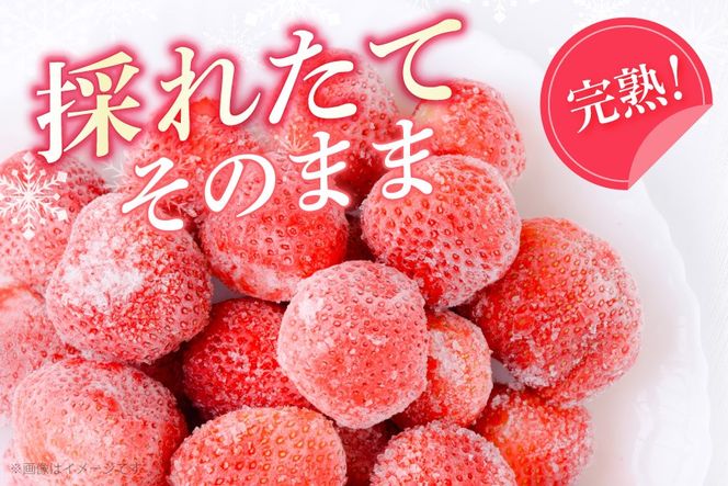 いちご 冷凍 冷凍 完熟 あまおう 2kg [ストロベリーファーム 福岡県 宇美町 um40azp070000] イチゴ 苺 フルーツ 冷凍フルーツ 果物 果実 甘い あまい 冷凍いちご 冷凍苺 冷凍イチゴ