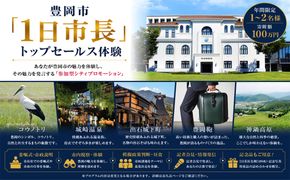 豊岡市「１日市長」トップセールス体験 / 年間2名様限定 参加型 シティプロモーション 体験返礼品 市内視察 宿泊付き 記者会見参加 1日市長名刺進呈 記念撮影 特産品詰め合わせ進呈 市長体験 特別体験 兵庫県 豊岡市長