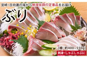 【北海道・離島配送不可】日向灘ぶりのお刺身(約400～550g)魚介 魚 旬 海鮮 ブリ 鰤 ぶり柵 刺身 しゃぶしゃぶ 冷蔵 宮崎県 門川町【UZ-03】【請関水産】