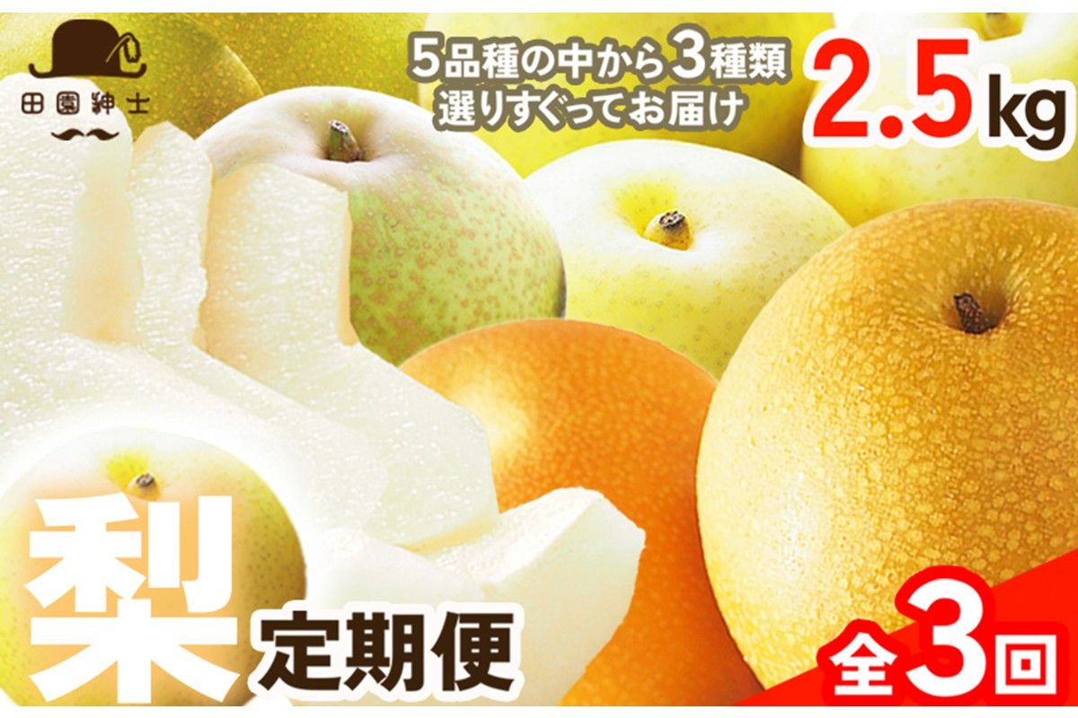 田園紳士厳選「梨好きさんのための定期便3回」(3品種(各約4〜6玉)×3回)