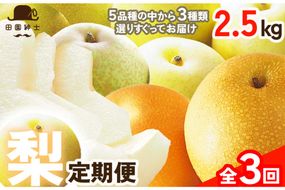 田園紳士厳選「梨好きさんのための定期便3回」（3品種（各約4〜6玉）×3回）　DE00144