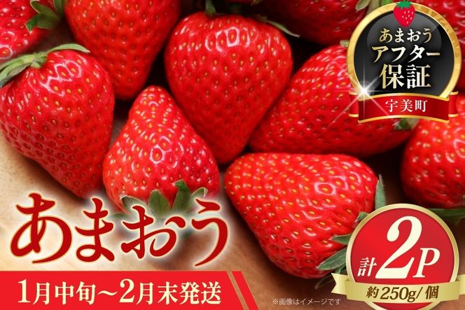 いちご あまおう 先行予約 約250g×2P 1月中旬 2月末 【2027年発送】 [一千也フーズ 福岡県 宇美町 um40azp140007] 苺 イチゴ フルーツ ストロベリー 甘い あまい 季節限定 期間限定 2027
