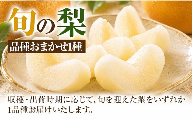 先行予約 旬の梨 梨 約2kg 約4kg 株式会社エフビーネット《出荷時期をお選びください》熊本県 氷川町 果物 フルーツ 熊本県産 青果物 和梨 ジューシー---hkw_efn_6_2kg---