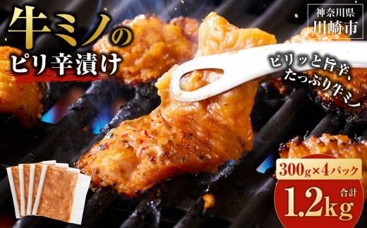 牛ミノ ピリ辛漬け 1.2kg ( 300g × 4 ) ビールに合う お酒のお供 焼肉 おすすめ 小分け 使いやすい 焼くだけ 焼き肉 バーベキュー 味噌たれ漬け 冷凍 配送時期が選べる 個包装 冷凍保存 アウトドア キャンプ BBQ おすすめ 人気
