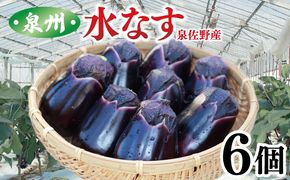 005A759 泉州 泉佐野市産 ハウス水なす 6個 夏旬の水なすを冬にどうぞ！