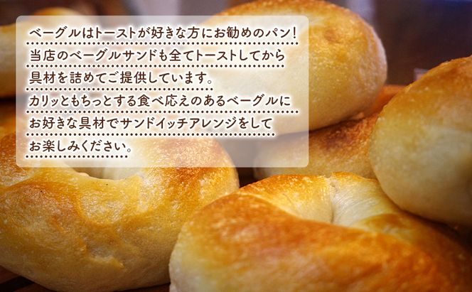 定期便 2回 ベーグル詰め合わせ 12個 パン 国産 冷凍 ベーグル プレーン セット 詰合せ 詰め合わせ 2ヶ月 にかほ市 秋田 秋田県