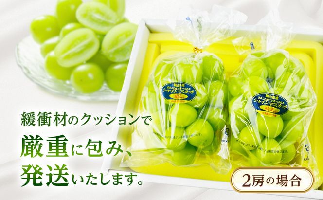 ぶどう 2026年 先行予約【2回定期便】 プレミアムシャインマスカット 晴王 2房 約1.4kg 人気 岡山県船穂産 赤秀品 種無し 皮ごと食べる みずみずしい9月10月お届け ハレノフルーツ