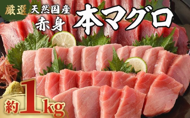【数量限定】 厳選 天然 本マグロ 赤身 １ｋｇ以上 国産 マグロ 鮮魚 魚 刺身 刺し身 漬け丼 海鮮丼 おかず 魚介類 海鮮 海産物 まぐろ 本まぐろ 鮪 ブロック 1キロ 惣菜 冷凍 美阿丸 高知県 室戸市