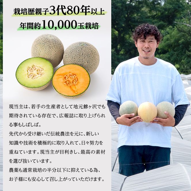 メロン 先行 予約 青森 減農薬栽培メロン 4～6玉 糖度16度以上保証 減農薬 青肉 赤肉 青肉メロン 赤肉メロン フルーツ 果物 旬のフルーツ 旬の果物 旬 夏 レビュー 高評価 先行予約 2026 2026年 青森県