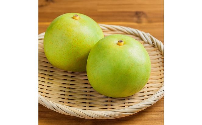 1263.【2026年度発送先行予約】数量限定　二十世紀梨　3kg 313726_CS006