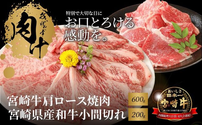 y{茧؏钬z{苍 [Xē600 {茧YaԐ؂200  K18_0035_7
