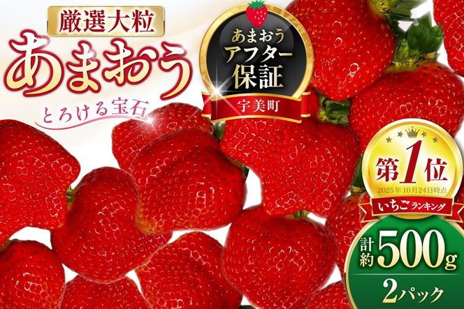 いちご 厳選大粒 あまおう 約250g〜270g 2パック 計約 500g [THE FARM_strawberry 福岡県 宇美町 um40azo780013] あまおう苺 イチゴ フルーツ 果物 くだもの 甘い