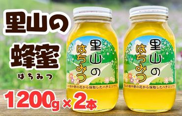 ありだ里山の蜂蜜（1200ｇ×2本セット）BC04