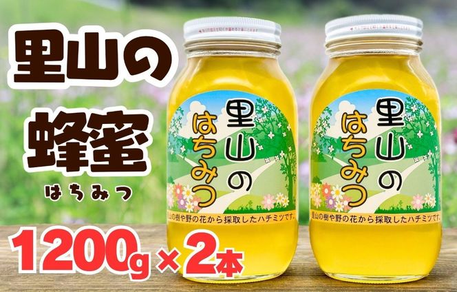 ありだ里山の蜂蜜（1200ｇ×2本セット）BC04