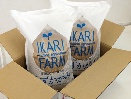 【新米】令和8年産冷めても美味しいあっさりとした味わい「みずかがみ」玄米【10kg（5kg×2袋）】【C018W2】（滋賀県　近江八幡市）