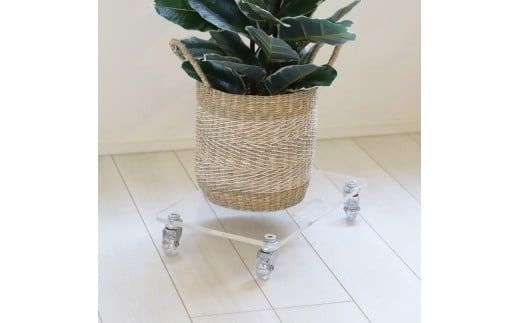 アクリルキャリー　AC-U50