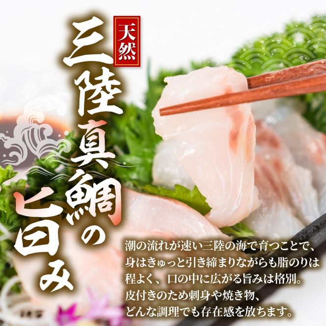 訳あり 真鯛 刺身 600g 天然 フィレ 鯛 たい マダイ 真タイ 魚 魚介 刺身 お刺身 鯛めし 鯛茶漬け お茶漬け 寿司 刺し身 冷凍 しゃぶしゃぶ 鯛しゃぶ 焼き物 小分け ご飯 おかず 三陸産 岩手県 大船渡市 [kouyou009]