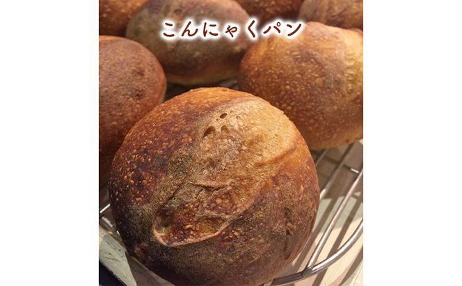 小麦由来酵母種パンバラエティセット 3種11個 