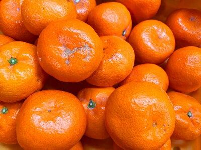 G7073_【2027年先行予約】初夏のみかん なつみ 7.5kg【家庭用 訳あり】【ミカン 蜜柑 柑橘 和歌山 有田 南津海】