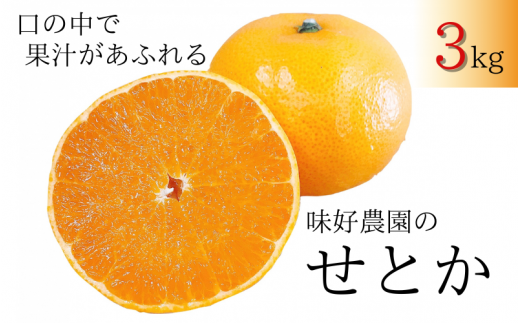 【先行予約・数量限定】地元で大人気の 秀品 せとか 3kg 【M～2Lサイズ混合】【2025年3月中旬から3月下旬頃に順次発送】〈味好農園〉 /ミカン 蜜柑 柑橘 フルーツ くだもの 果物 甘い ジューシー 果汁があふれる【agy024】