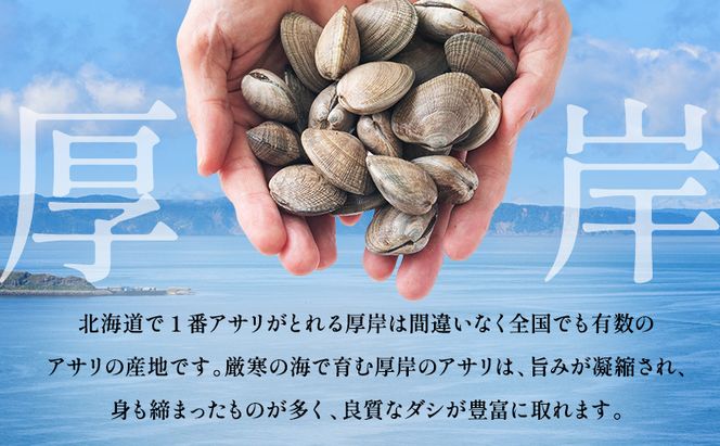 【3カ月 定期便 】訳あり 北海道 厚岸産 砂出し済み 活あさり 1kg×2 (合計2kg) 【厚岸海産】[ アサリ 魚貝 海鮮 大粒 美味しい 栄養 旨み 砂出し 水洗い 冷蔵 便利 ]