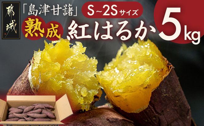 島津甘藷　熟成紅はるか 5kg(S～2S)_LE-A7-001-5kg-m 