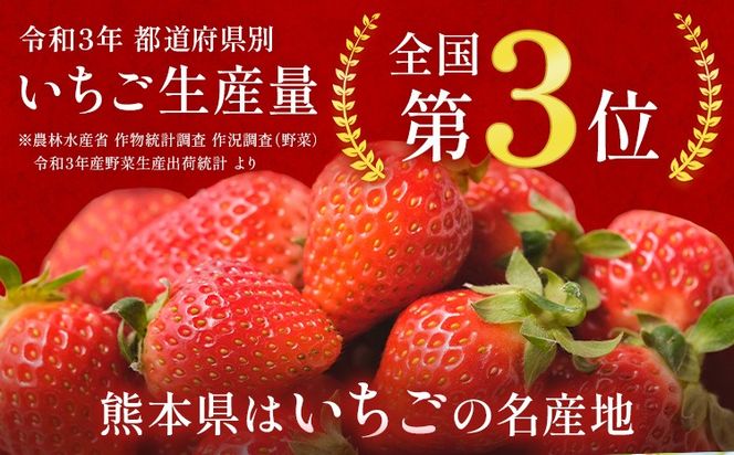 先行予約 熊本県産 いちご ゆうべに 約1500g（約250g×6パック）《2月上旬-3月末頃出荷》熊本県 氷川町 果物 フルーツ 苺 イチゴ 先行 予約 アフター保証---hkw_26_lcl_241_1500g---