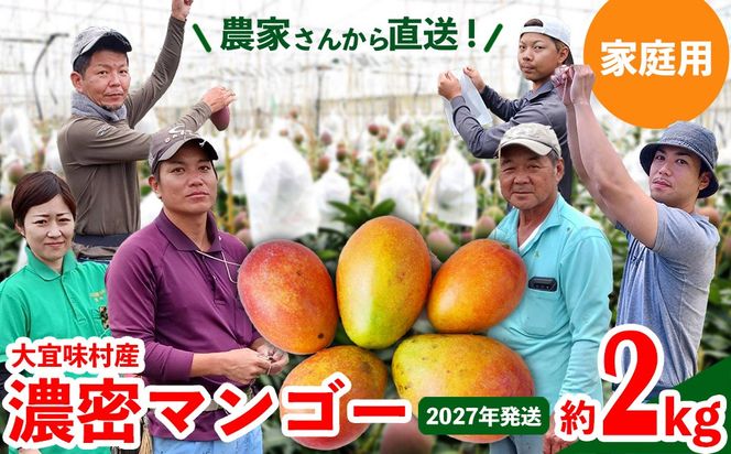 【2027年発送】ご家庭用！濃密マンゴー《家庭用・約2kg》農家さんより直送！