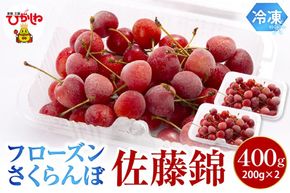 フローズンさくらんぼ「佐藤錦」200g入×2P 有限会社佐藤錦提供 山形県 東根市 hi004-hi029-032