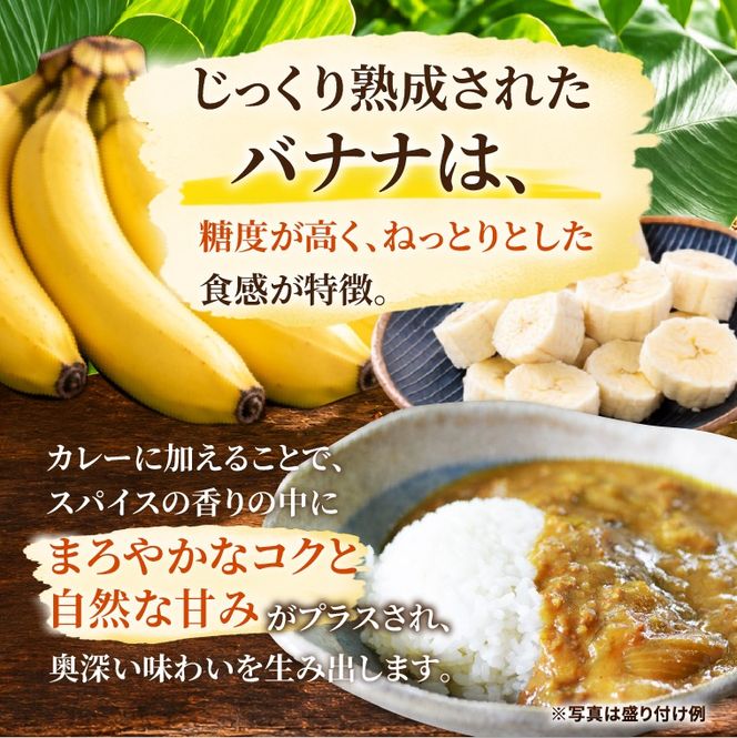 ばななカレーセット|ばなな カレー 黄金ときめきバナナ あまい 特製 益子町産（CA007）