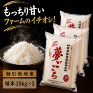 【令和7年産】特別栽培米 30kg【白米、7分ツキ】（夢ごこち）