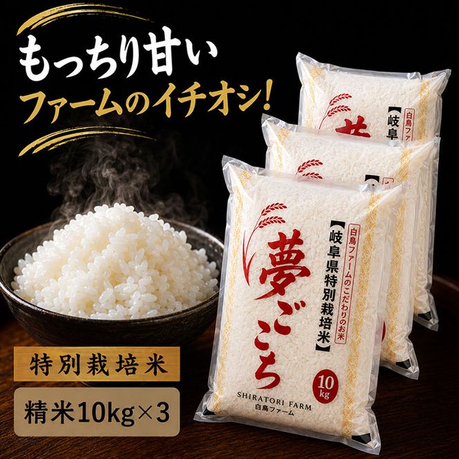 【令和7年産】特別栽培米 30kg【白米、7分ツキ】（夢ごこち）