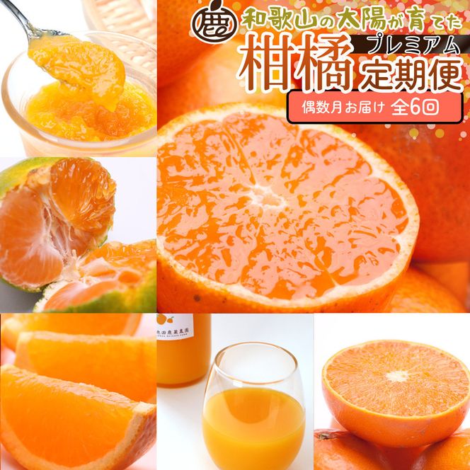 ya̎R쒬zI kMijS6 mIKE294n 303446_BB90203